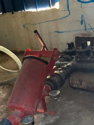 [gestifincarustica] - almendros regadio