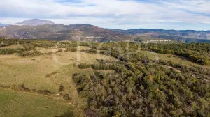Finca con casa para rehabilitar en el Pirineo