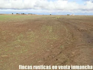 finca en venta 150 has. labor secano almendro