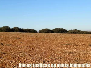 finca en venta 106 has. labor monte en Toledo