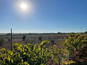 Finca rural Bollullos Par del Condado