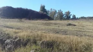 Finca en San Bartolome de la Torre