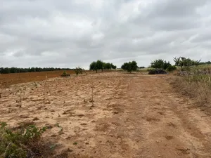 Finca en Bollullos par del condado Bollullos