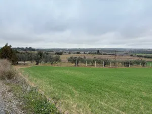 Finca Bollullos Par del Condado, Huelva