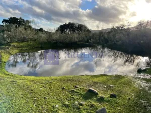 FINCA  110 HECTÁREAS EN LA ZONA DE ALCUESCAR