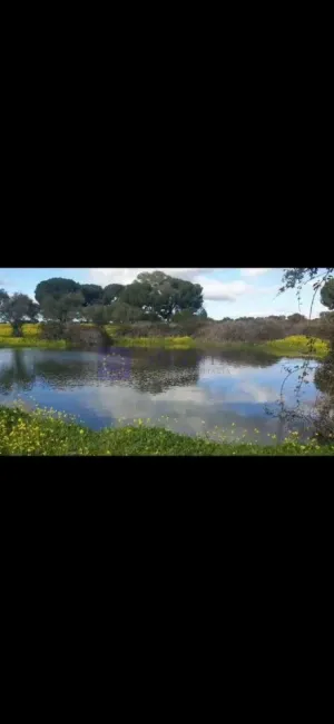 Finca Ganadera 10 ha en Valdesalor