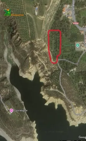 FINCA RÚSTICA PLENA PRODUCCIÓN EN VALLE DE LECRÍN