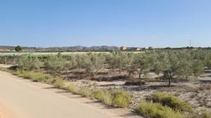 Finca Rústica en Monforte del Cid, Alicante - ¡Una Oportunidad Única! 🌳🌞
