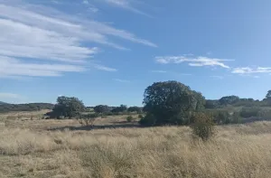 Venta finca rústica en Monterrubio La Serena