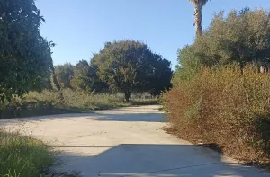 Finca Rústica en Algeciras