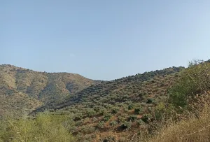 Finca Rústica en Málaga