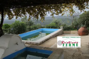 Finca de olivos ecológicos en Pozoblanco.