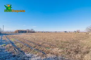 Finca rústica de regadío en la Vega de Granada. (Facil acceso a pie de ctra.)