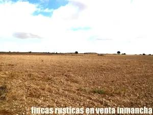 finca en venta 9 has labor regadío en Daimiel