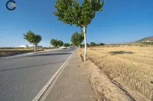 FINCA RÚSTICA EN  DILAR.