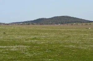 FINCA GANADERA Y DE CULTIVO CERCA DE CÁCERES