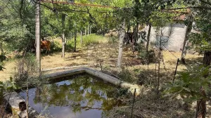 Finca en Cidade de Fafe