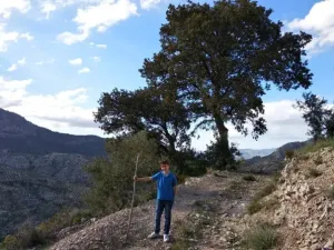 VENTA DE FINCA OLIVAR Y MONTE EN JAÉN