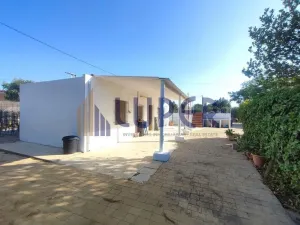 SE VENDE FINCA RÚSTICA A TAN SOLO 5 MINUTOS DE SAN VICENTE