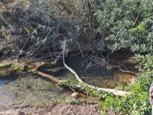 CASA EN EL PARC NATURAL DELS PORTS (Vall Cervera)