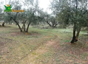 Finca rústica en Peligros - Sierra de la Alfaguara.