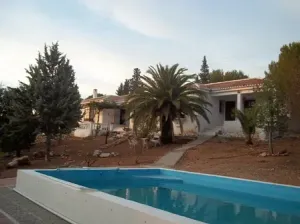 Finca rustica olivar y recreo