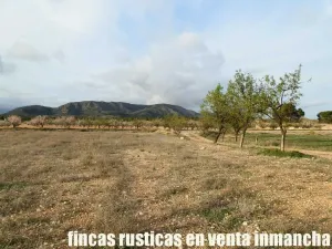 finca en venta 125 has. labor-almendros-monte