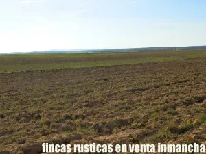 finca en venta 366 has. labor viña en Toledo