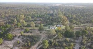 Finca de 159 ha en Doñana /Coto privado