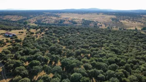 Finca Rústica en Pizarral, Salamanca
