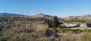 Huerta con casa de aperos, punto de luz y aljibe en los tollos, Archena.