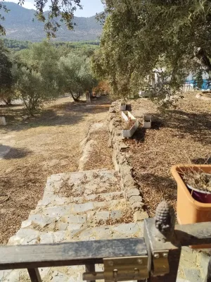 Finca Rústica en Espiel, Córdoba