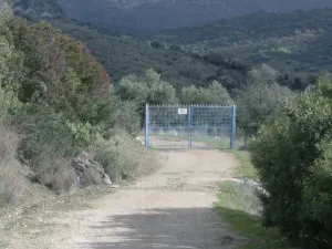 Se vende bonita finca