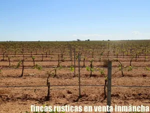 finca en venta 295 has. labor secano Albacete
