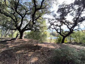 OPORTUNIDAD!! ESPECTACULAR FINCA RÚSTICA PARA REFORMAR (Con 7 hectáreas de terreno adyacentes opcionales)