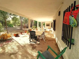 EXCEPCIONAL FINCA RUSTICA LA ALCAYNA/ROMERAL
