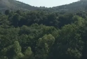 Finca en Peñamellera Baja