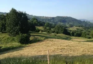 Finca en Corvera de Toranzo