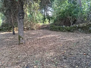Finca en Espinosa de los Monteros