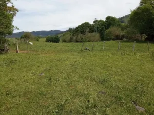 Finca en Rasines