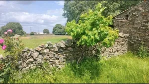 Preciosa finca, buen acceso