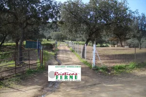 Finca de hípica y cinegética cerca de Córdoba
