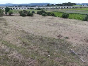 Se vende finca agricola de 5ha
