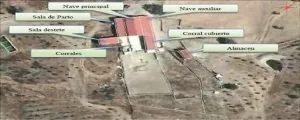 Dehesa Tamujoso | 650 ha de dehesa productiva con explotación ganadera y cinegética en Huelva