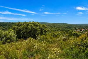 Finca en Ourém