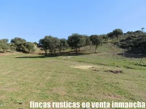 finca en venta 25 has. recreo ganadera