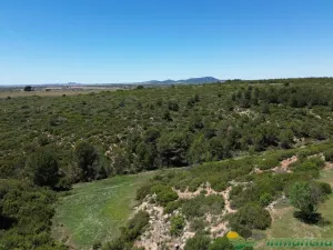 finca en venta 544 has. labor viña caza mayor