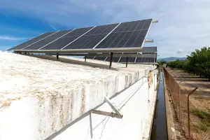 Finca Rústica en Venta – Vega Norte de Granada