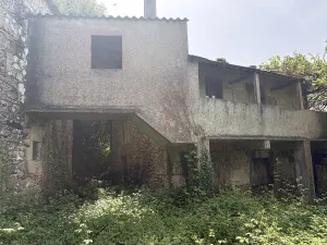Fincas con Casas de Piedra y Eucaliptal