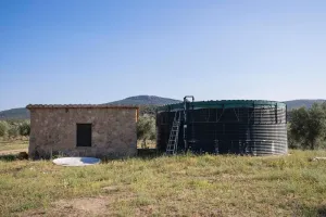 El olivar de San José